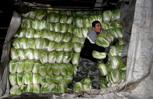 我們?cè)诠懦怯鲆?jiàn)從容 西安防疫升級(jí)首日見(jiàn)聞