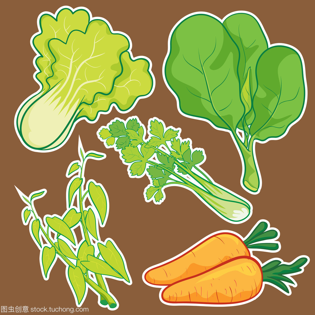 可愛的蔬菜集 農副產品收購的溫馨畫卷