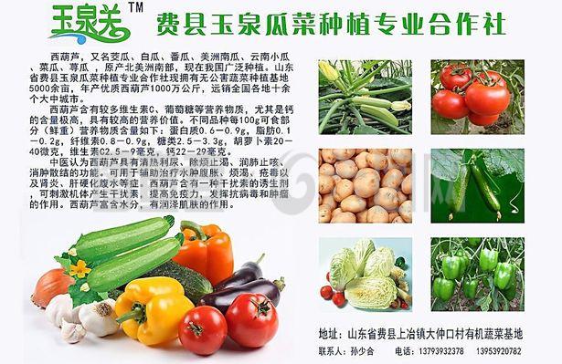 新鮮直達(dá)，品質(zhì)承諾——綠色蔬菜產(chǎn)品宣傳與農(nóng)副產(chǎn)品收購服務(wù)